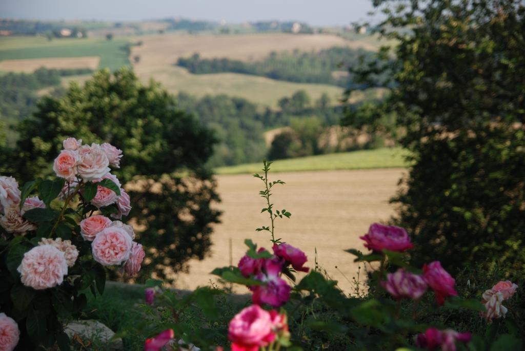Casarciccia Vendégház Todi Kültér fotó